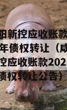 咸阳新控应收账款2023年债权转让（咸阳新控应收账款2023年债权转让公告）