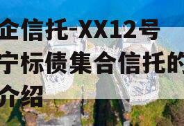央企信托-XX12号济宁标债集合信托的简单介绍