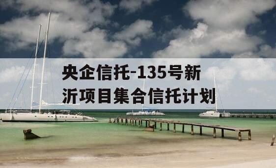 央企信托-135号新沂项目集合信托计划