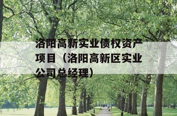 洛阳高新实业债权资产项目（洛阳高新区实业公司总经理）