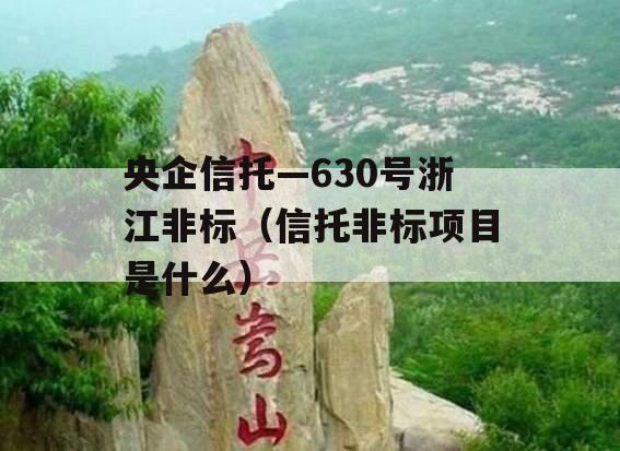央企信托—630号浙江非标（信托非标项目是什么）
