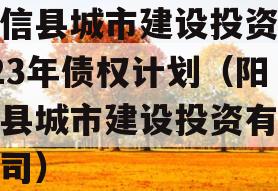 阳信县城市建设投资2023年债权计划（阳信县城市建设投资有限公司）