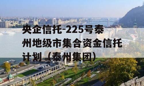 央企信托-225号泰州地级市集合资金信托计划（泰州集团）