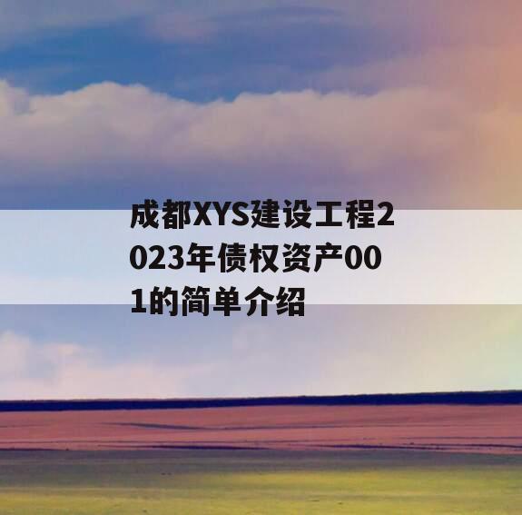 成都XYS建设工程2023年债权资产001的简单介绍