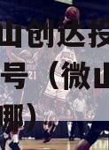 山东微山创达投资债权转让03号（微山创达大厦在哪）