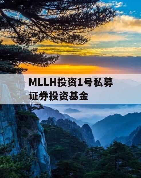 MLLH投资1号私募证券投资基金
