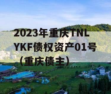 2023年重庆TNLYKF债权资产01号（重庆债主）