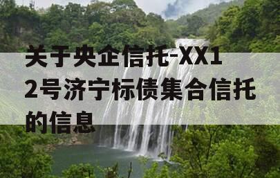 关于央企信托-XX12号济宁标债集合信托的信息
