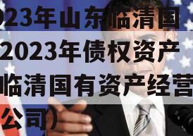 2023年山东临清国资2023年债权资产（临清国有资产经营有限公司）