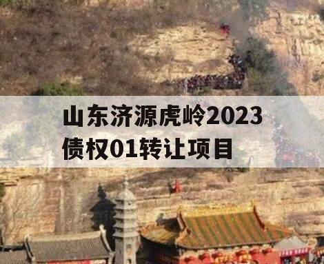 山东济源虎岭2023债权01转让项目