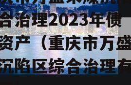 重庆市万盛采煤沉陷区综合治理2023年债权资产（重庆市万盛采煤沉陷区综合治理有限公司）