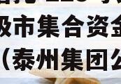 央企信托-225号泰州地级市集合资金信托计划（泰州集团公司排名）