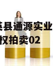 大英县通源实业2023债权拍卖02
