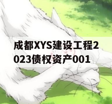 成都XYS建设工程2023债权资产001 成都XYS建设工程2023债权资产001