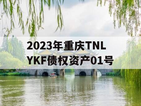 2023年重庆TNLYKF债权资产01号 2023年重庆TNLYKF债权资产01号
