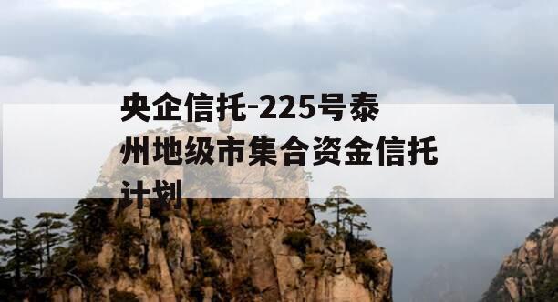 央企信托-225号泰州地级市集合资金信托计划 央企信托-225号泰州地级市集合资金信托计划
