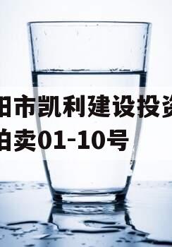 资阳市凯利建设投资债权拍卖01-10号