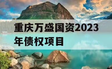 重庆万盛国资2023年债权项目