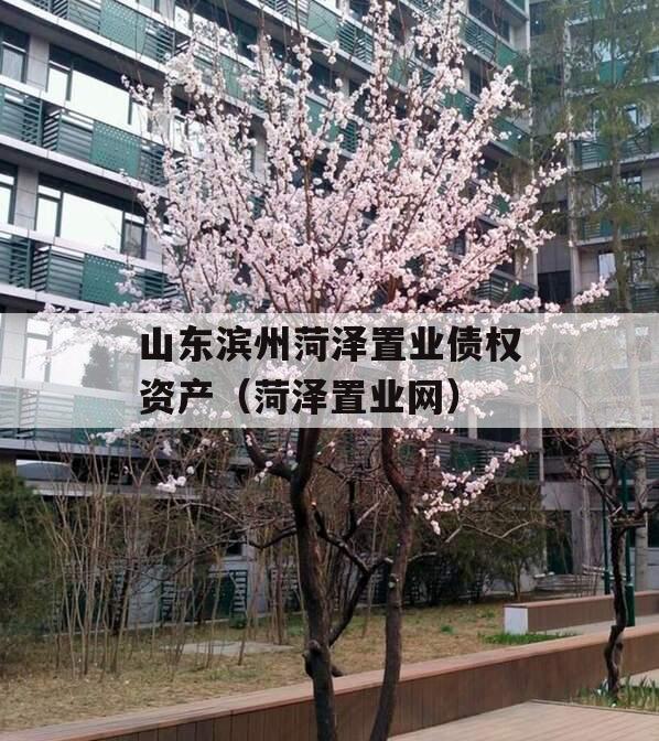 山东滨州菏泽置业债权资产（菏泽置业网）