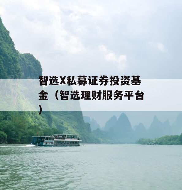 智选X私募证券投资基金（智选理财服务平台）