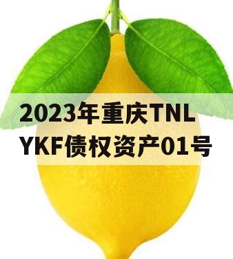 2023年重庆TNLYKF债权资产01号