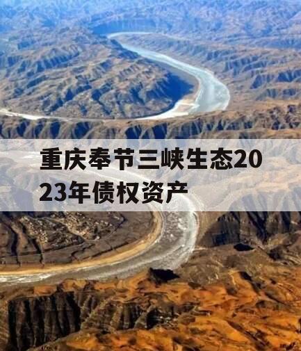 重庆奉节三峡生态2023年债权资产