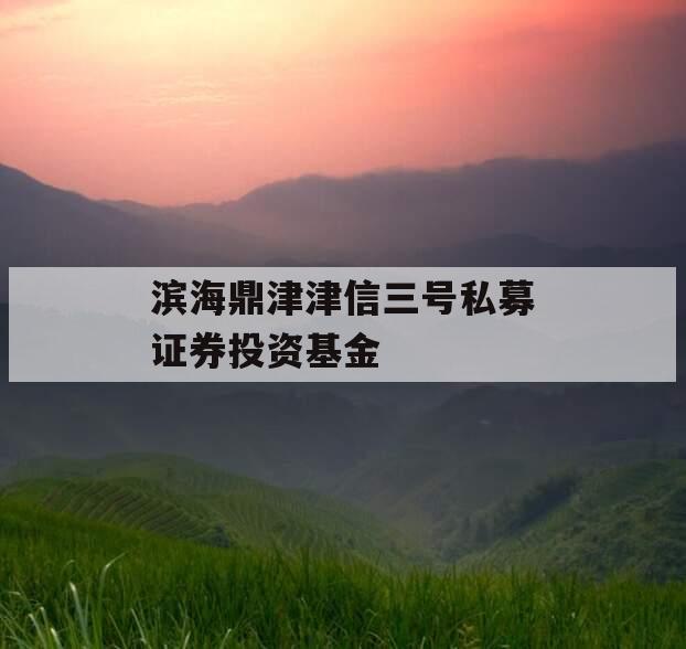 滨海鼎津津信三号私募证券投资基金