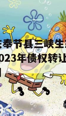 重庆奉节县三峡生态发展2023年债权转让项目 重庆奉节县三峡生态发展2023年债权转让项目