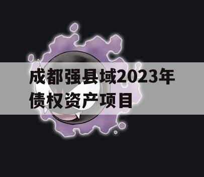 成都强县域2023年债权资产项目