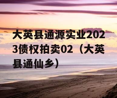 大英县通源实业2023债权拍卖02（大英县通仙乡）