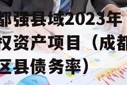 成都强县域2023年债权资产项目（成都市各区县债务率）