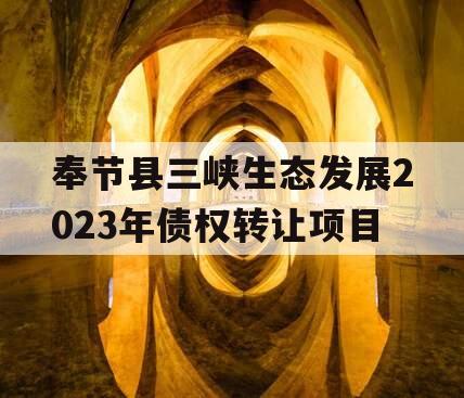 奉节县三峡生态发展2023年债权转让项目