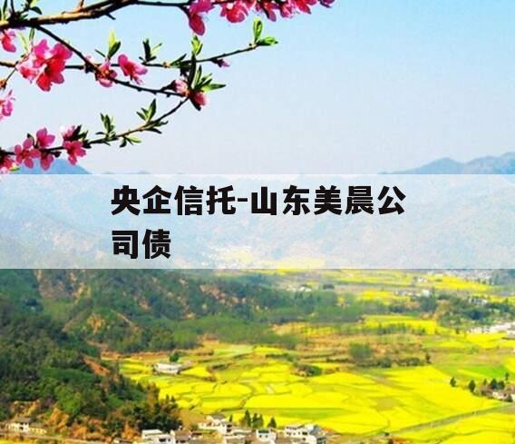 央企信托-山东美晨公司债 央企信托-山东美晨公司债