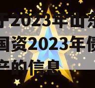 关于2023年山东临清国资2023年债权资产的信息