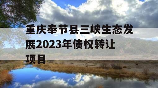 重庆奉节县三峡生态发展2023年债权转让项目