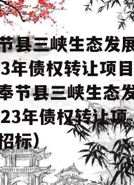 奉节县三峡生态发展2023年债权转让项目（奉节县三峡生态发展2023年债权转让项目招标）