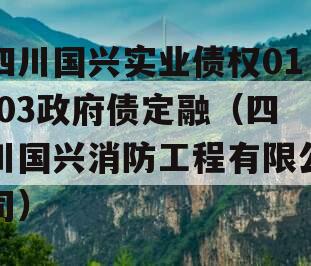 四川国兴实业债权01-03政府债定融（四川国兴消防工程有限公司）