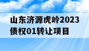 山东济源虎岭2023债权01转让项目