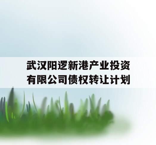 武汉阳逻新港产业投资有限公司债权转让计划