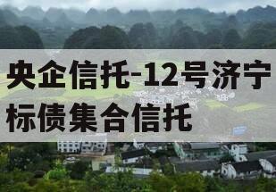 央企信托-12号济宁标债集合信托