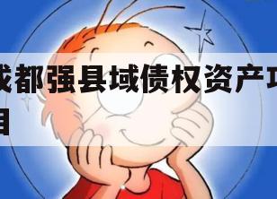 成都强县域债权资产项目