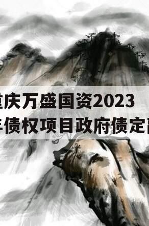 重庆万盛国资2023年债权项目政府债定融
