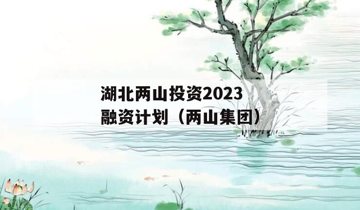 湖北两山投资2023融资计划（两山集团）