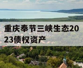 重庆奉节三峡生态2023债权资产