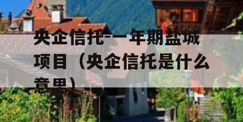 央企信托-一年期盐城项目（央企信托是什么意思）
