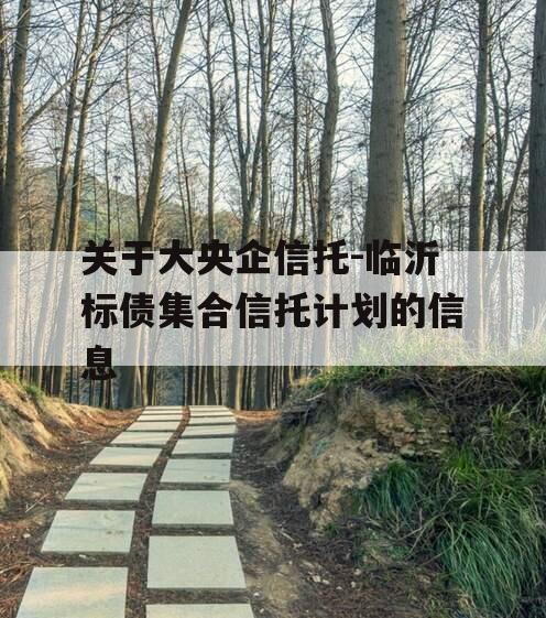 关于大央企信托-临沂标债集合信托计划的信息