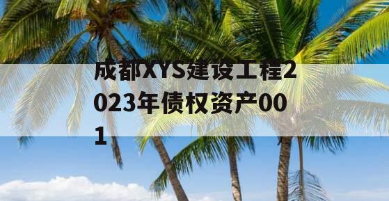 成都XYS建设工程2023年债权资产001 成都XYS建设工程2023年债权资产001