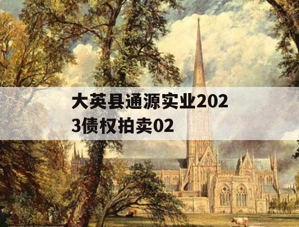 大英县通源实业2023债权拍卖02