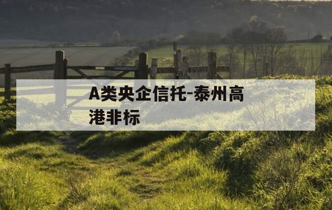 A类央企信托-泰州高港非标
