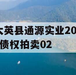 大英县通源实业2023债权拍卖02